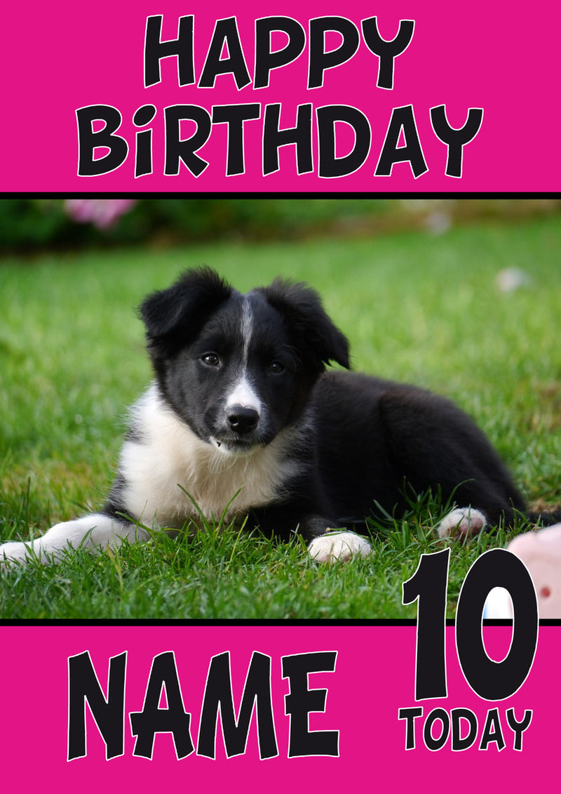 Border Collie Puppy DOGS AND Funny Puppy Kids Adult Personalised Birthday Card