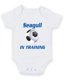 Brighton and Hove in Training Football Fan Baby Grow Bodysuit