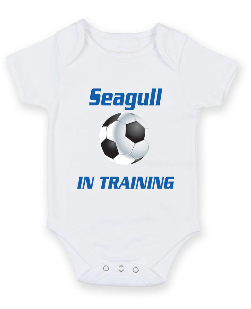 Brighton and Hove in Training Football Fan Baby Grow Bodysuit