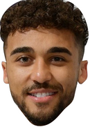 DOMINIC CALVERT-LEWIN Celebrity Face Mask FANCY DRESS HEN BIRTHDAY PARTY FUN STAG DO