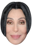 CHER JB - Music Star Fancy Dress Cardboard Celebrity Party Face Mask