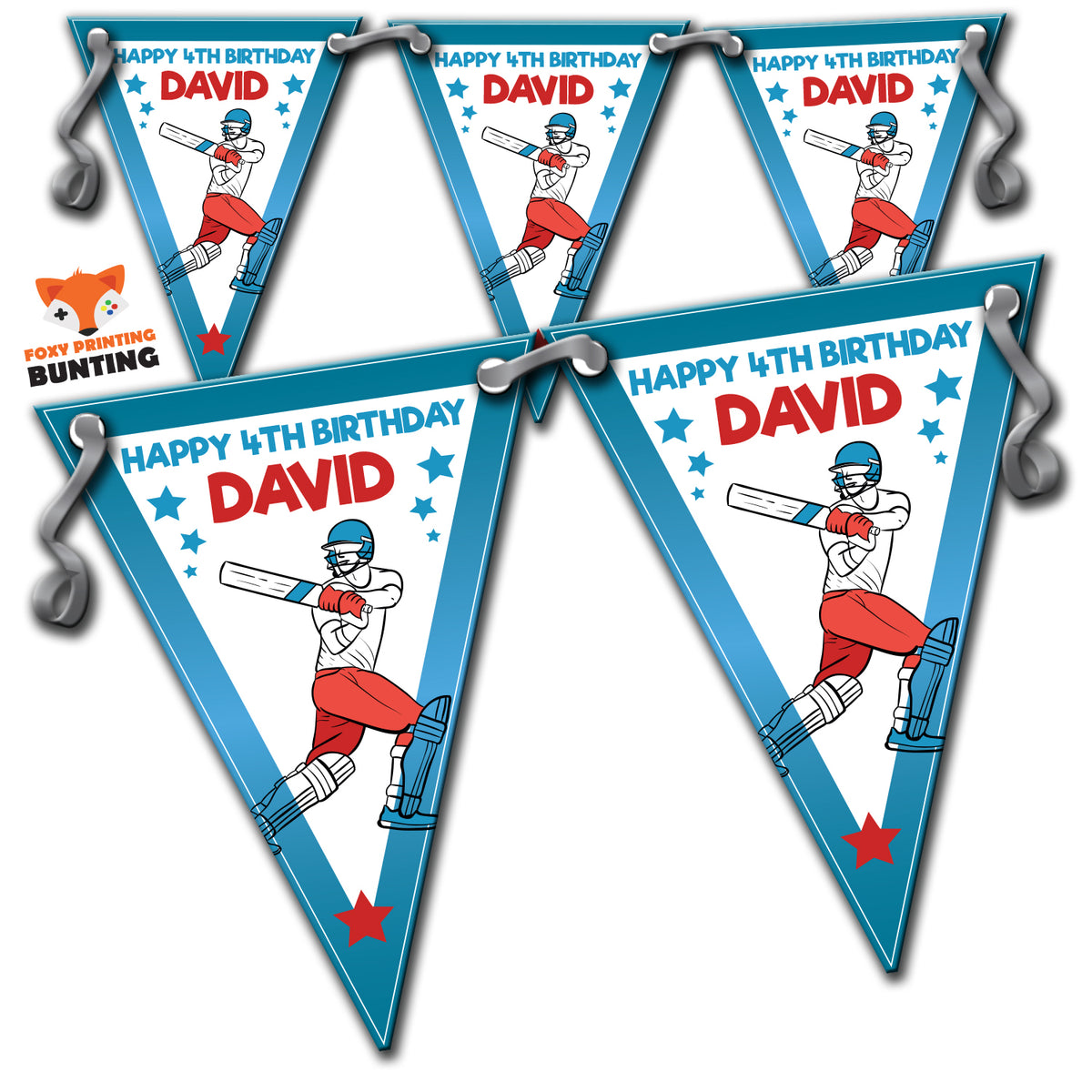 CRICKET PARTY Bunting Premium Party Decorations  (Standard Bunting (14.8cm X 21cm)) – Cricket Party Bunting