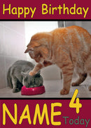 Cat Eating While Being Pushed Funny Kids Adult Personalised Birthday Card Gift Present