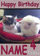 Cat In Bed With Teddy Sheep Funny Kids Adult Personalised Birthday Card Gift Present