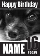 Collie DOGS AND Funny Puppy Kids Adult Personalised Birthday Card