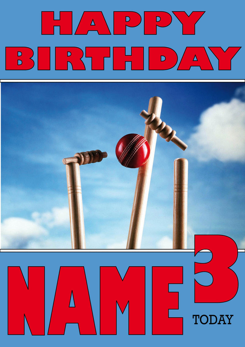 Cricket Wicket THEME INSPIRED Style PERSONALISED Kids Adult FUNNY Birthday Card