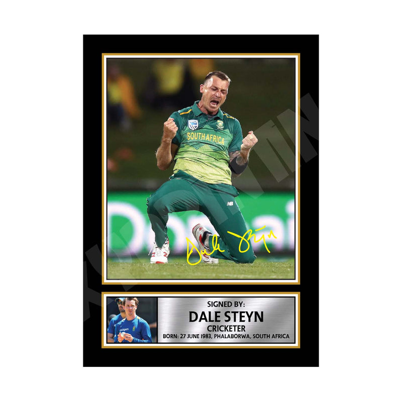 DALE STEYN 2 Limited Edition Cricketer Signed Print - Cricket Player