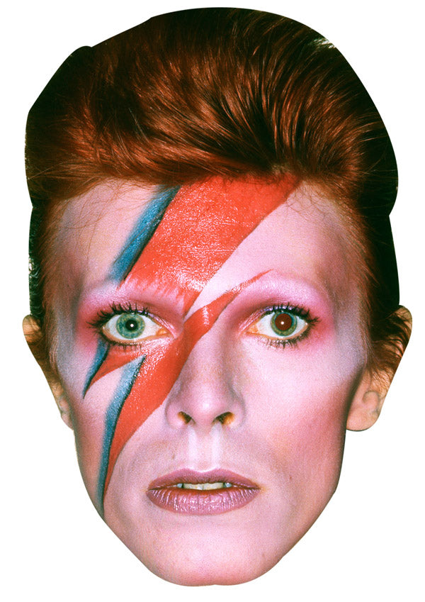 DAVID BOWIE JB - Music Star Fancy Dress Cardboard Celebrity Party Face Mask