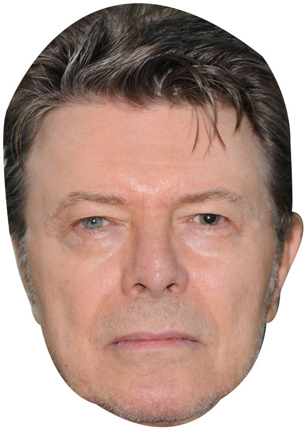 DAVID BOWIE COPY JB - Music Star Fancy Dress Cardboard Celebrity Party Face Mask