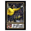DAVID SEAMAN Limited Edition Football Player Signed Print - Football