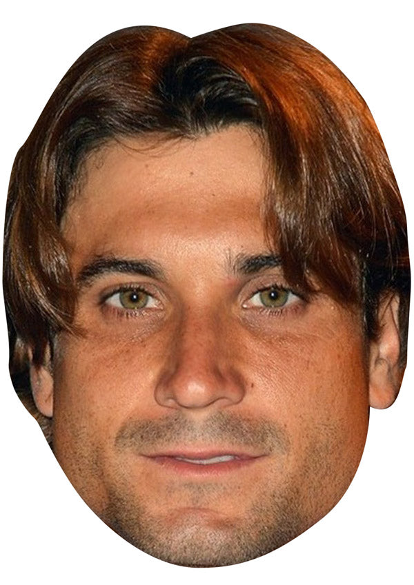 DAVID FERRER JB - Tennis Fancy Dress Cardboard Celebrity Party Face Mask