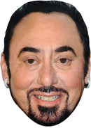 DAVID GEST JB - TV Star Fancy Dress Cardboard Celebrity Party Face Mask