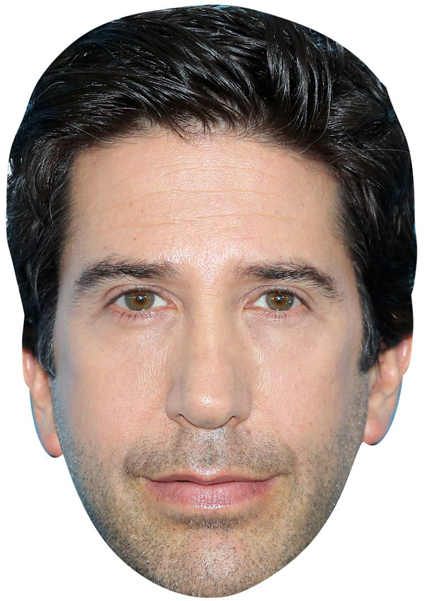 David Schwimmer JB Actor Movie Tv Celebrity Party Face Mask