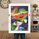 Dragon Power Retro GAME INSPIRED THEME Nintendo NES Gaming A4 A3 A2 Or A1 Poster Art 213