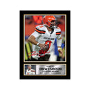 Drew Stanton Limited Edition Football Signed Print - American Footballer