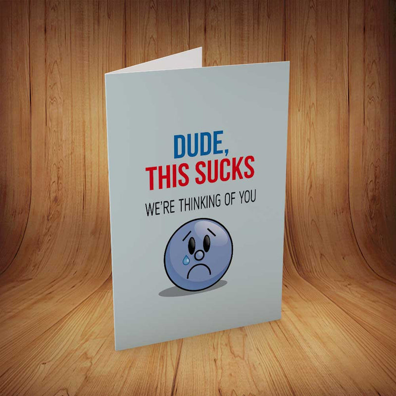 Dude This Sucks Sympathy INSPIRED Adult Personalised Birthday Card Birthday Card