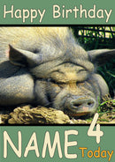 Fat Pig Funny Kids Adult Personalised Birthday Card Gift Present