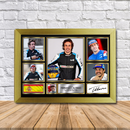 Fernando Alonso Limited Edition Signed Print