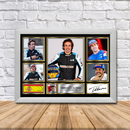 Fernando Alonso Limited Edition Signed Print