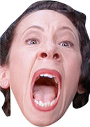 Frau Farbissina Austin Powers Fancy Dress Cardboard Celebrity Party Face Mask