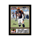Geno Atkins 2 Limited Edition Football Signed Print - American Footballer