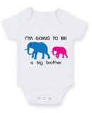 Going to be a Big Brother to a Little Sister Baby Grow Bodysuit