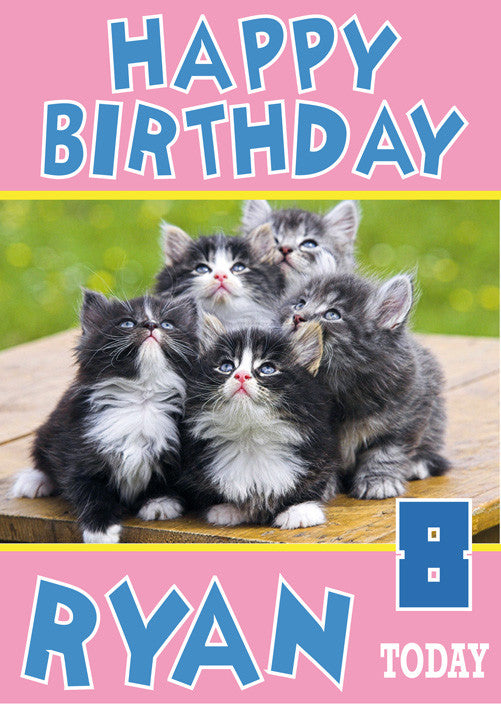 Group Of Cute Kittens Birthday Card Funny Kids Adult Personalised Birthday Card