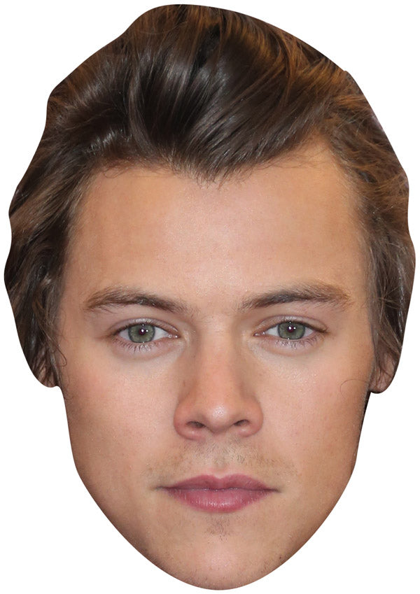 HARRY STYLES JB - Music Star Fancy Dress Cardboard Celebrity Party Face Mask