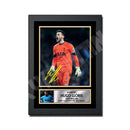 HUGO LLORIS 2 Limited Edition Football Player Signed Print - Football