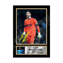 HUGO LLORIS 2 Limited Edition Football Player Signed Print - Football