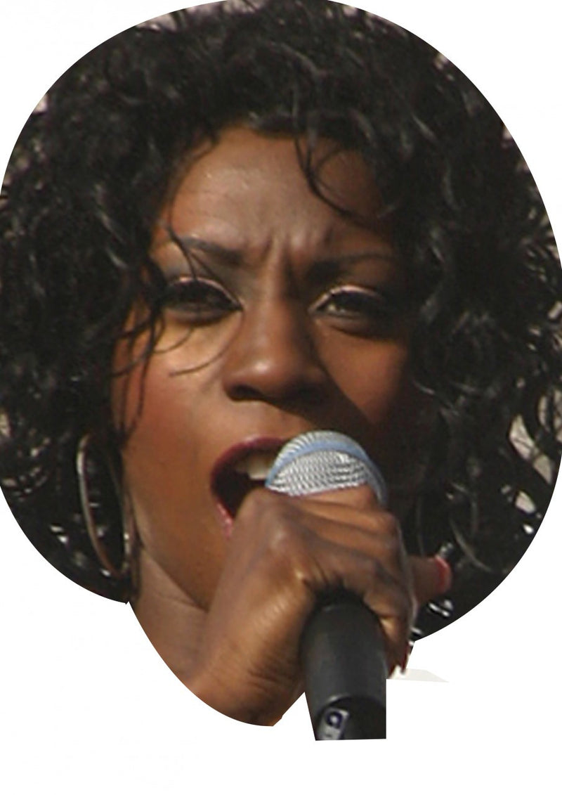 Heather Small On A Stick Face Mask Celebrity FANCY DRESS HEN BIRTHDAY PARTY FUN STAG DO HEN