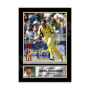JAMES FAULKNER 2 Limited Edition Cricketer Signed Print - Cricket Player