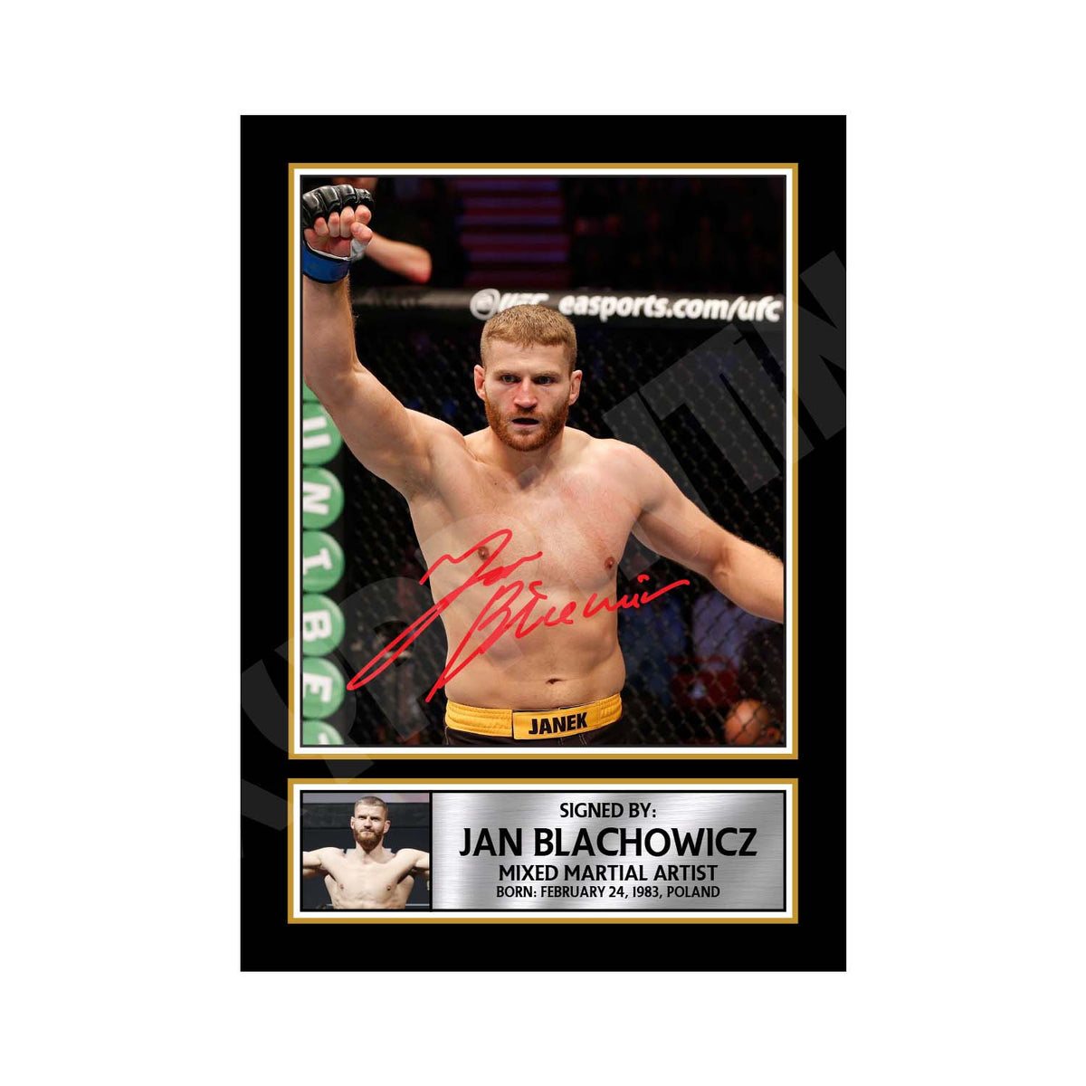 Jan Blachowicz 2 Limited Edition MMA Wrestler Signed Print - MMA Wrestling