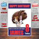LIFE OF PETS BM THEME INSPIRED Style PERSONALISED Kids Adult FUNNY Birthday Card