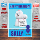 LIFE OF PETS SNOWBALL 2 BM1 THEME INSPIRED Style PERSONALISED Kids Adult FUNNY Birthday Card