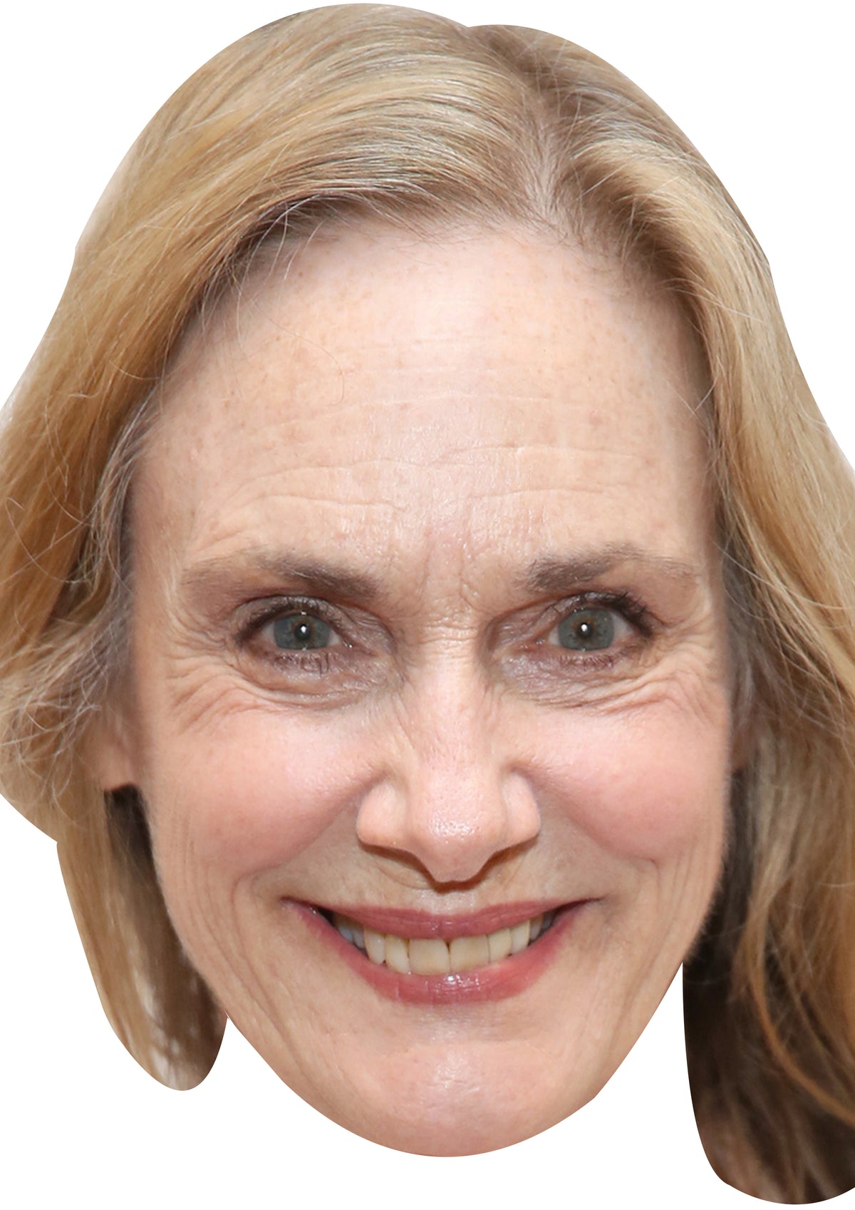 Lisa Emery Face Mask – Fancy Dress Cardboard Costume Mask – Lisa Emery Face Mask