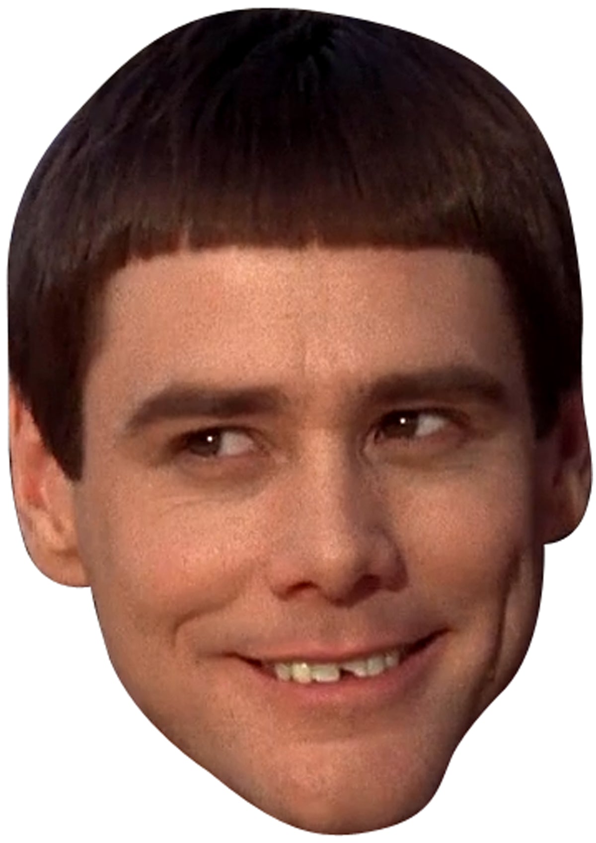 Lloyd Dumb and Dumber Celebrity Face Mask Fancy Dress Cardboard Costume Mask – Lloyd Dumb and Dumber Face Mask