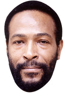 MARVIN GAYE JB - Music Star Fancy Dress Cardboard Celebrity Party Face Mask