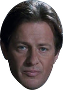 Mark Hoffman Saw Celebrity Party Face Mask