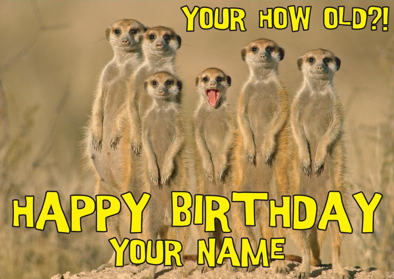 Meerkats Shock Kids Adult FUNNY Kids Adult FUNNY Personalised Birthday Card