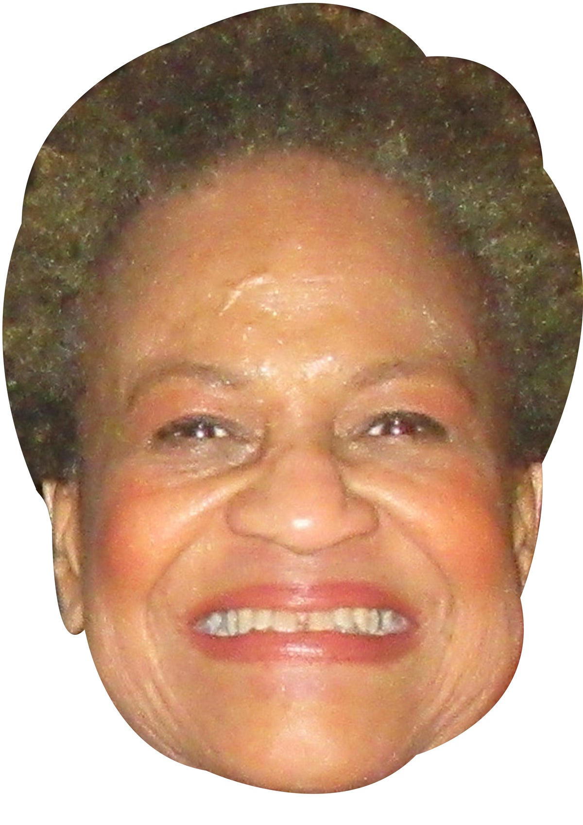 Michelle Hurst Face Mask – Fancy Dress Cardboard Costume Mask – Michelle Hurst Face Mask