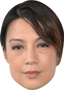 Ming Na Wen MH -2- 2017 Celebrity Face Mask Fancy Dress Cardboard Costume Mask