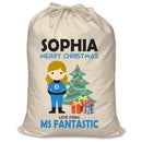 PERSONALISED Cartoon Inspired Super Hero Fantastic SOPHIA - XL Children's Christmas Santa Sack CUSTOMISE Present