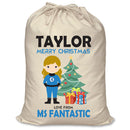 PERSONALISED Cartoon Inspired Super Hero Fantastic TAYLOR - XL Children's Christmas Santa Sack CUSTOMISE Present