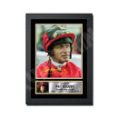 PAT EDDERY Limited Edition Horse Racer Signed Print - Horse Racing