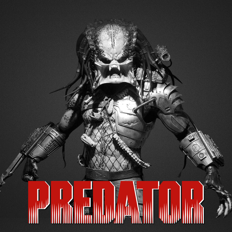 Predator Lego Display Case - Minifigure Display Background and Frames