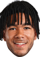 REECE JAMES Celebrity Face Mask FANCY DRESS HEN BIRTHDAY PARTY FUN STAG DO