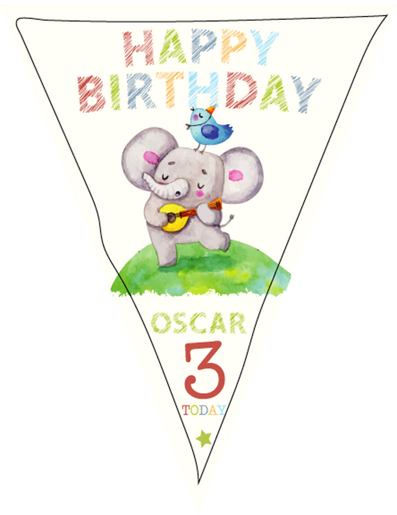 RM141 Birthday Colourful Bunting A Personalised Custom Bunting Premium Party Decorations  (Standard Bunting (14.8cm X 21cm))