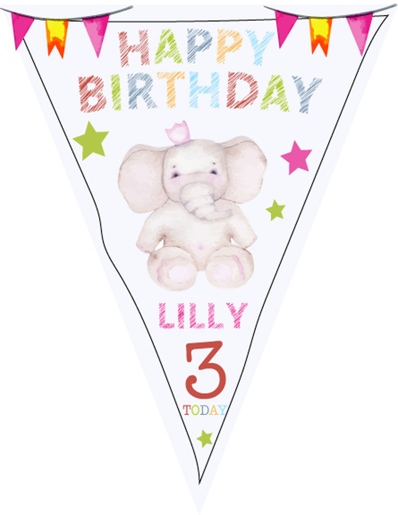 RM143 Birthday Colourful Bunting C Personalised Custom Bunting Premium Party Decorations  (Standard Bunting (14.8cm X 21cm))