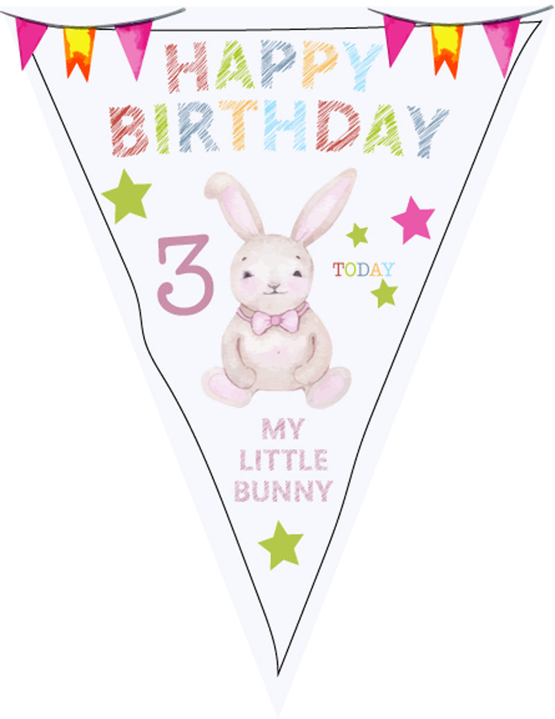 RM144 Birthday Colourful Bunting D Personalised Custom Bunting Premium Party Decorations  (Standard Bunting (14.8cm X 21cm))